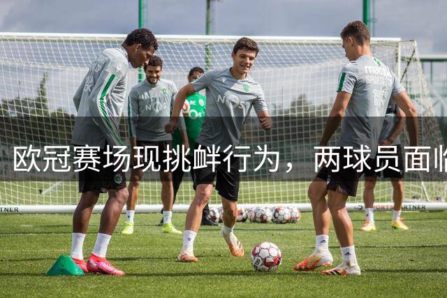 欧冠赛场现挑衅行为，两球员面临纪律调查